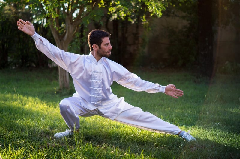 Wudang Tai Chi